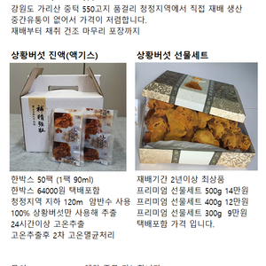 강원도 장수 상황버섯