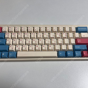 fc660mbt 한글 적축 코랄블루