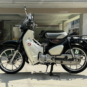 Honda C125 2020 / 혼다 슈퍼커브 C125 2020년식