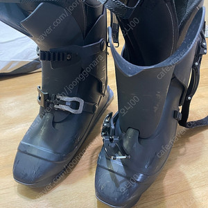 톰슨 스노우 스케이트