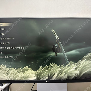 LG 33UN650 4K모니터