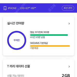 SK데이타 2기가 3000