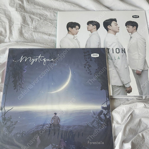 포레스텔라 1,2집 lp 판매합니다.