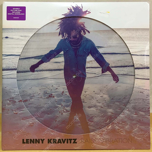 LP ; lenny kravitz - raise vibration 레니 크레비츠 엘피 음반 픽쳐디스크 picture disc