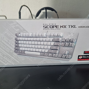 asus ROG scope nx TKL 탠키리스 키보드 택포