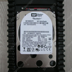 WD 벨로시랩터 일괄 1TB 500GB 300GB