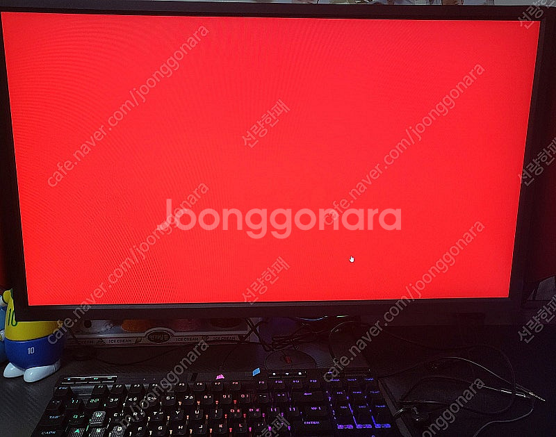 벤큐 2546k 정품 풀박스 판매--2
