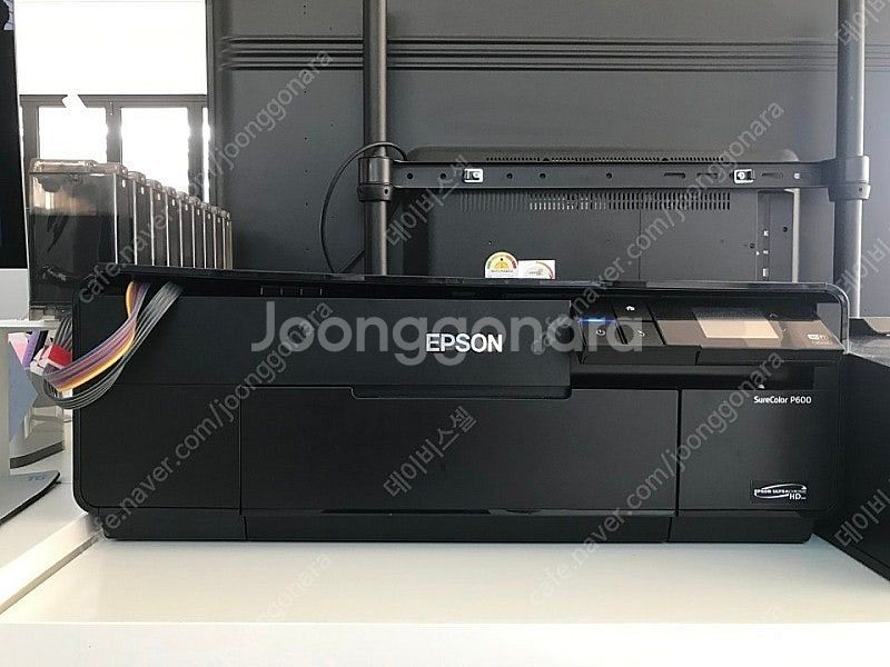 앱손 p600+듀라핌무한잉크--0