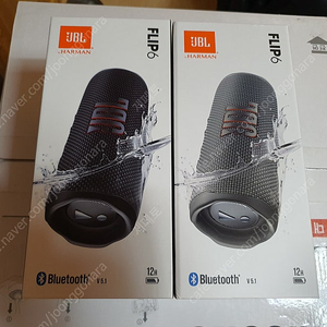 삼성전자 JBL FLIP 6