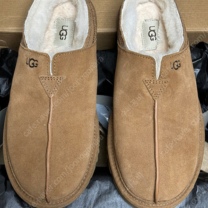 UGG 어그 Neuman 뉴먼 뉴만 체스트넛 260(US 8) 판매합니다