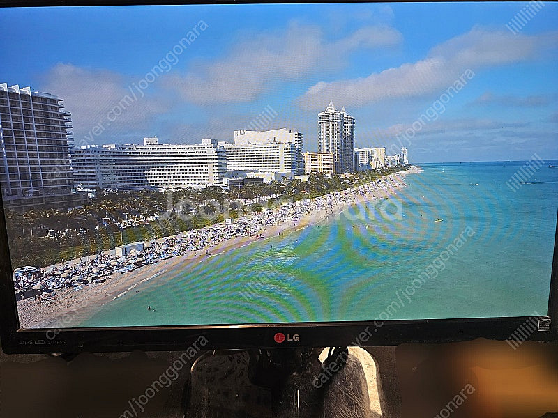 LG 24인치 LED 모니터 24MP55HQ 팝니다--1