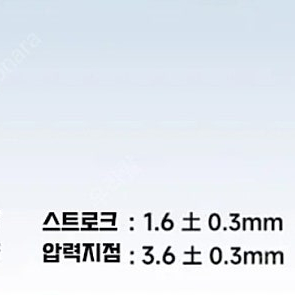 TTC 퍼플축 열염축 스위치 100개