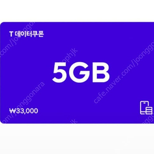 SK 데이터쿠폰 5GB/2GB