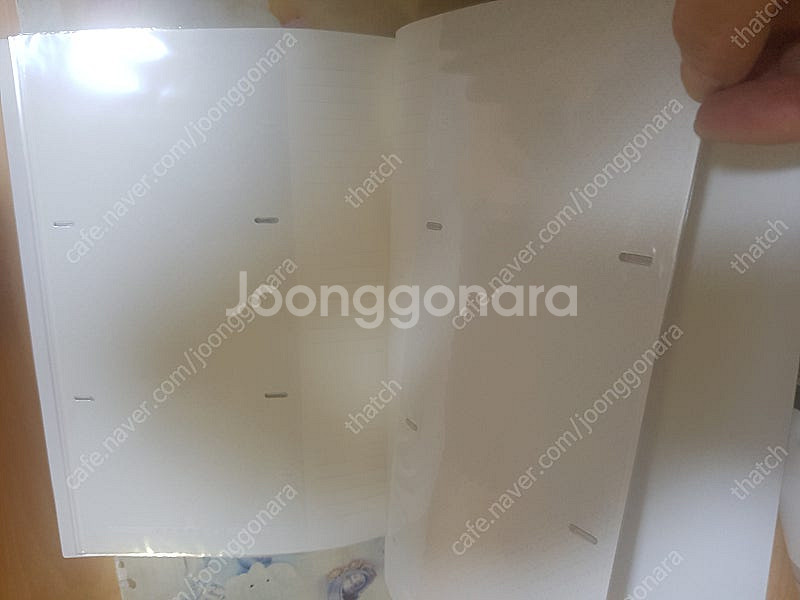 고급 칸나 앨범 & 포켓앨범5권--9