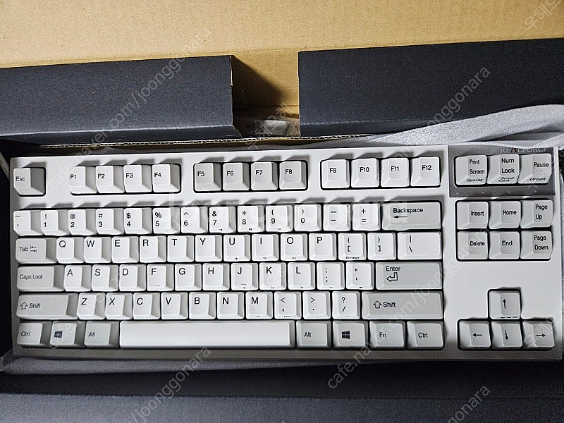 리얼포스r2 55g 아이보리 텐키리스 apc 모델판매--0