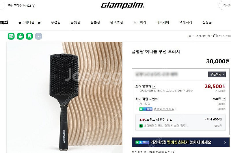 글램팜 허니콤 쿠션 브러시 1개 1만원 (택배비 포함)--2