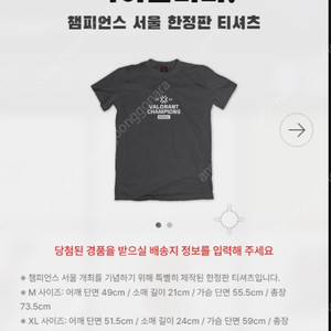 발로란트 챔피언스 2024 티셔츠, 장패드
