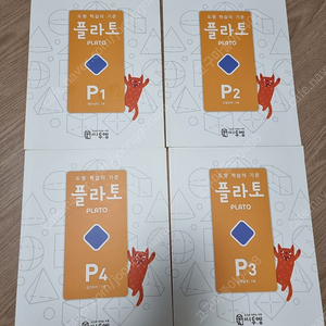 씨투엠 플라토 P단계