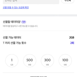 Sk데이터 2기가