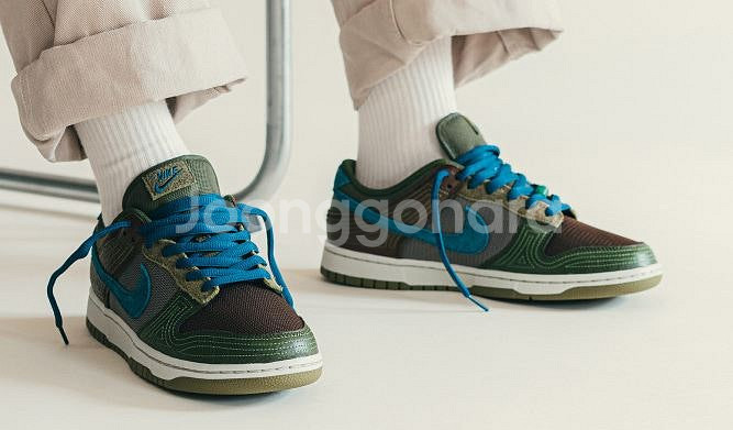 나이키 NH덩크 로우 DR0159-200 250사이즈--1
