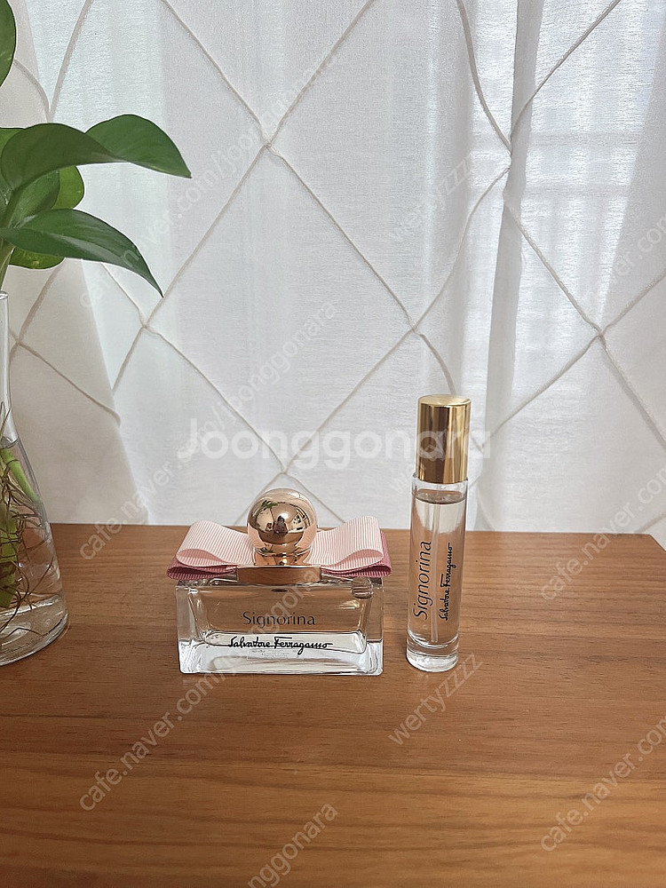 페레가모 시그노리아 오드퍼퓸 여성향수 100ml +증정--0