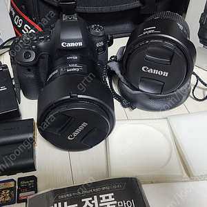 캐논 EOS6D mark2, 렌즈 EF24~105mm f/4L IS II USM, 공식점검완료