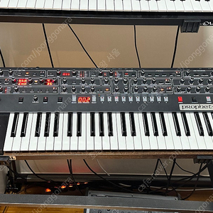 Sequential Prophet 6 팝니다