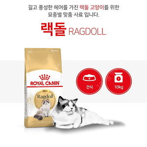 로얄캐닌 캣 렉돌 어덜트 10Kg