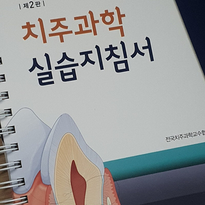 치대 교과서(영상치의학, 치과재료학, 병리학, 치주실습서, 영치실습서) 판매합니다