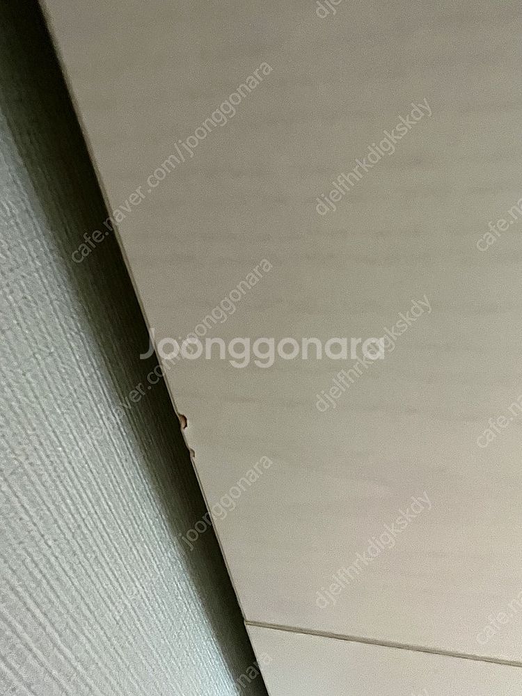 일룸 케빈벙커침대 2층침대 사다리형--7