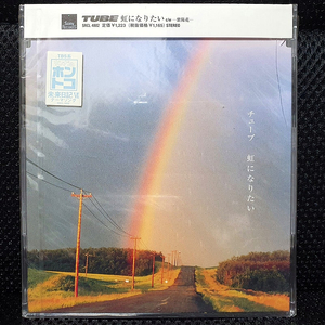 TUBE 튜브 虹になりたい 싱글 CD 미개봉 신품