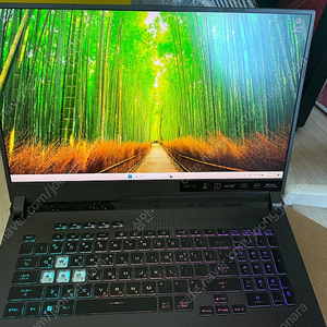 asus g713rm-ll121 팝니다