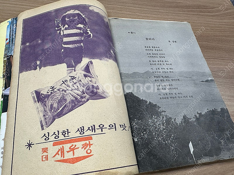 새소년 잡지 1975년--2