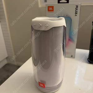 JBL Pulse 4 펄스4