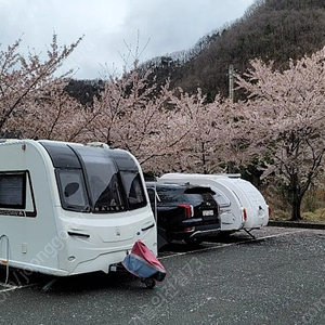 베일리 세고비아 2019 캠핑트레일러