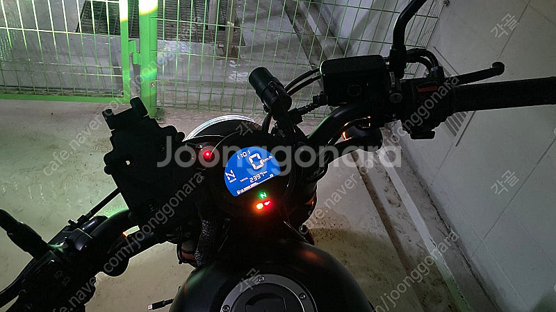 레블500 24년식 포워드--5