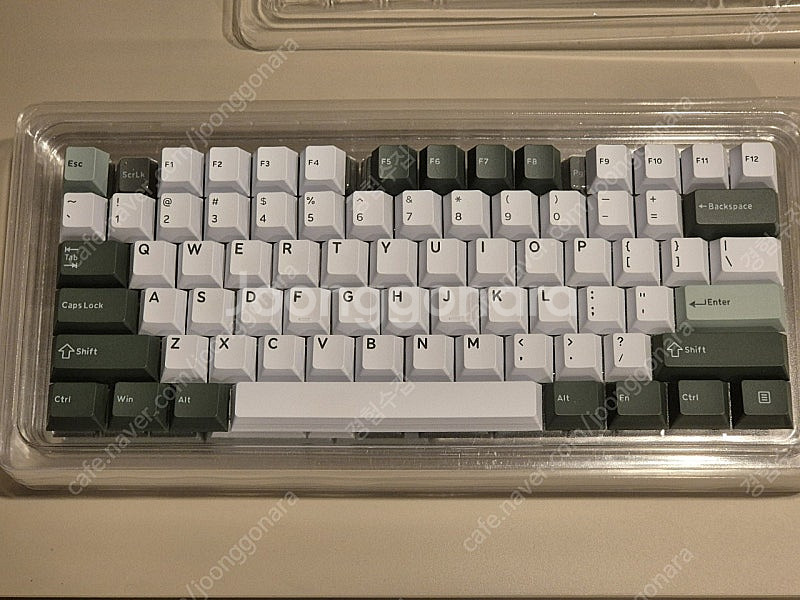 고스트저지 GJ 보타니컬 pbt 이중사출 키캡 판매합니...--1