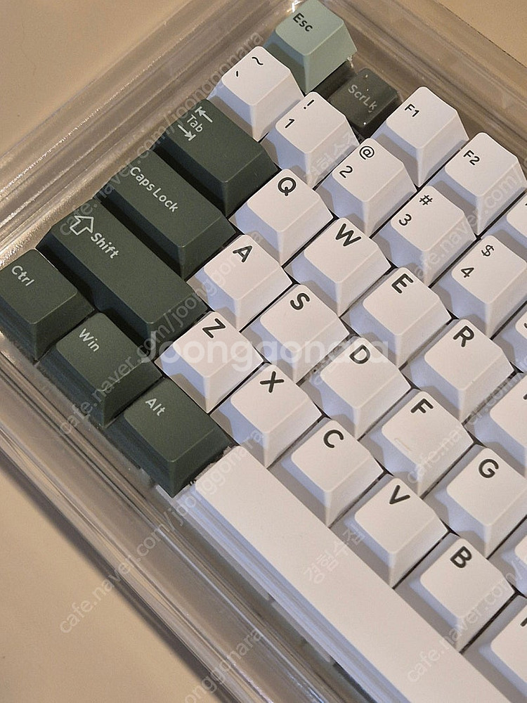 고스트저지 GJ 보타니컬 pbt 이중사출 키캡 판매합니...--2