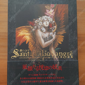 코지마 아야미 아트북 화집 Santa Lilio Sangre 판매