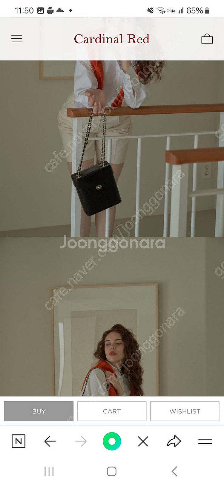 카디널레드--1