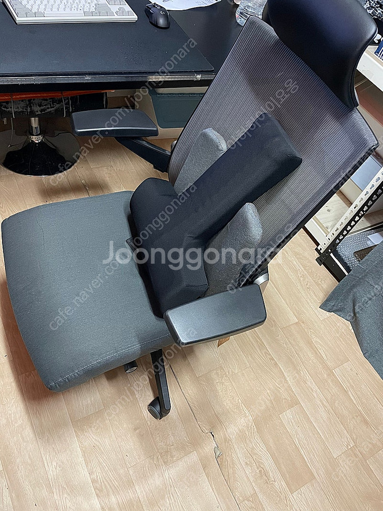 발란스코드 카이로프랙틱 허리쿠션--0