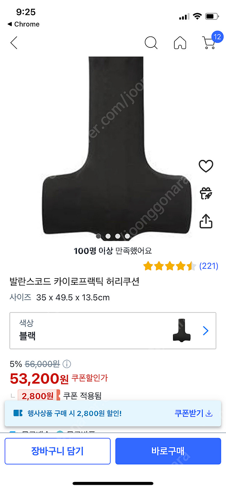 발란스코드 카이로프랙틱 허리쿠션--1
