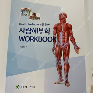 사람해부학 워크북 정문각