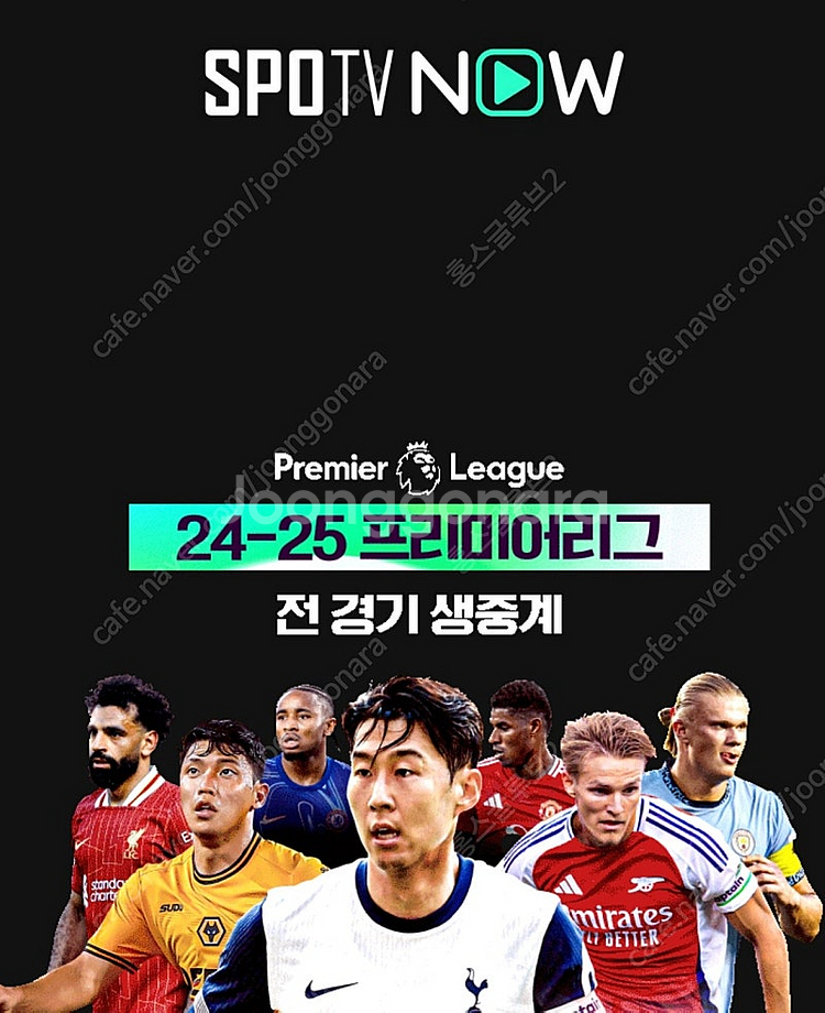 스포티비 베이직 1경기 대여합니다 1000원--0