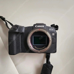 canon eos rp body