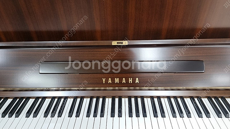 (판매)야마하피아노 u-1 월낫--4