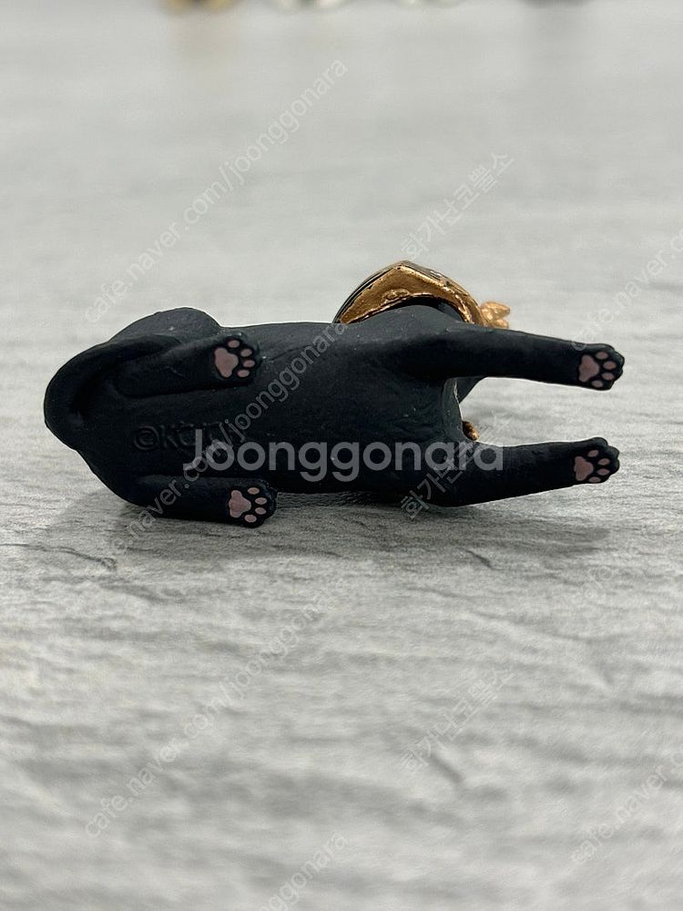 파라오 고양이 가챠 풀세트--2