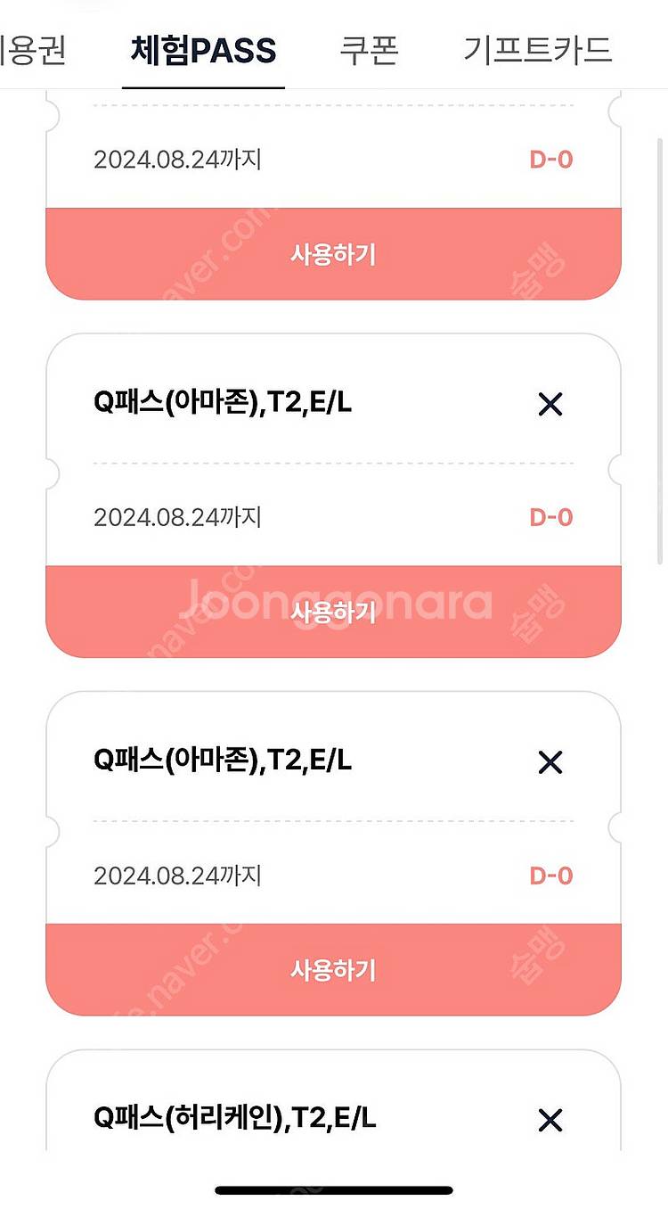 에버랜드 8.24 당일 큐패스 양도 비와도 다 운행하는...--0