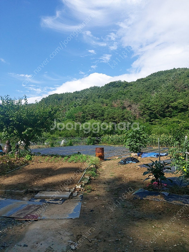 경운기 앞타이어구함--0