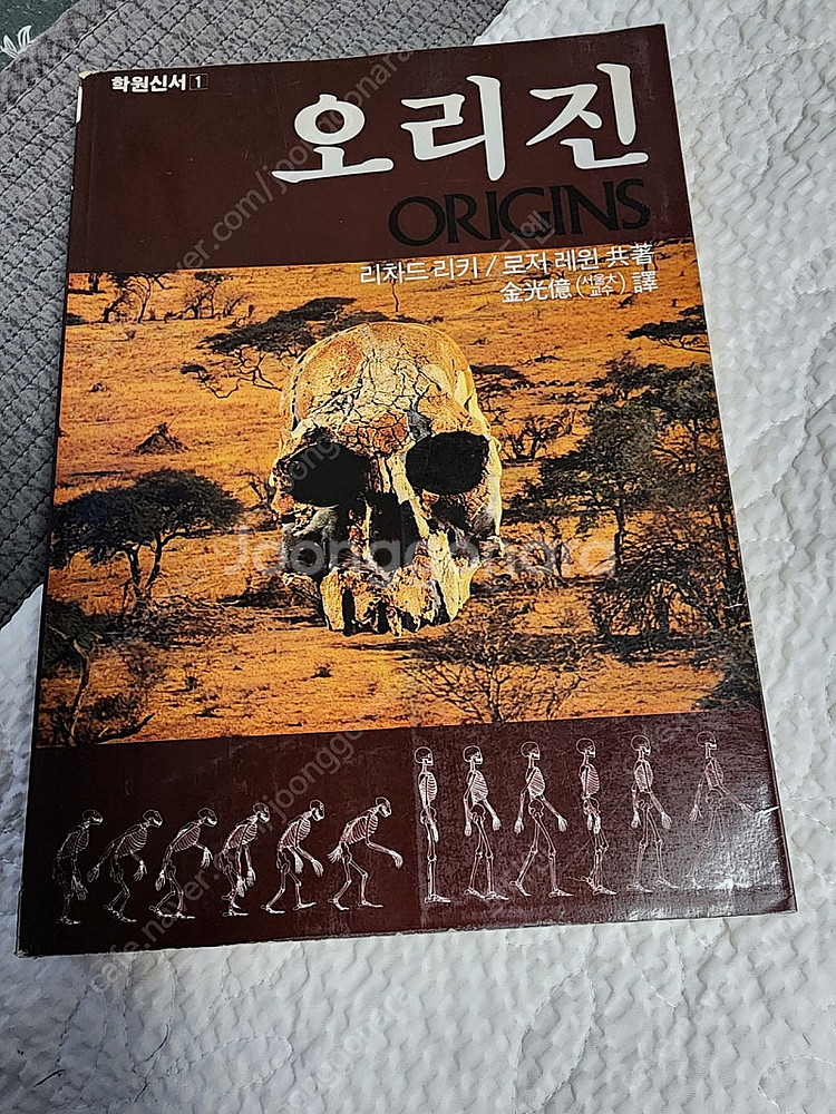 오리진 ORIGINS 리처드 리키 로저 레윈 공저--0